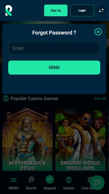 Password reset screen with email field